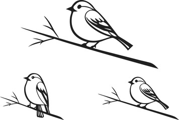 Birds design set illustration in elegant line art style. Line art bird collection in a clean modern illustration. Beautiful hand drawn birds set in minimalist line art. Creative bird illustration