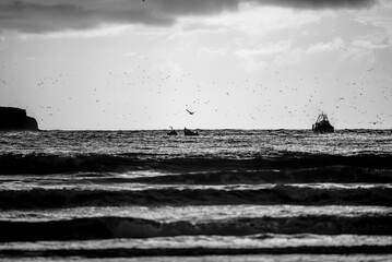2024 03 21 Essaouira Fishing boat 72