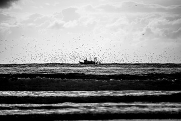 2024 03 21 Essaouira Fishing boat 80