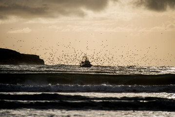2024 03 21 Essaouira Fishing boat 85