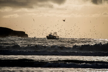 2024 03 21 Essaouira Fishing boat 86