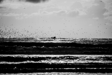 2024 03 21 Essaouira Fishing boat 87