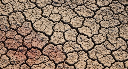 A dry, cracked earth texture with a honeycomb pattern, indicating drought.