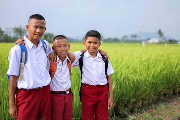 Young Indonesian Elementary School Boys Smiling And Posing Together In Rice Field