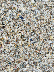 pebbles on the beach