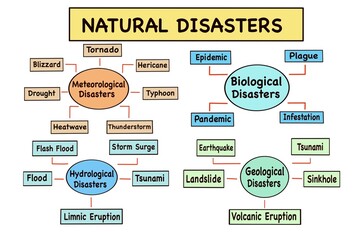 An educational infographic categorizing natural disasters into Meteorological, Hydrological, Biological, and Geological types with vocabulary terms, perfect for classroom use and ESL teaching.