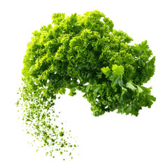 Fototapeta premium Bright green parsley bunch isolated on white with scattered leaves. Fresh herb close-up with soft shadows. Clean eating and natural vitality. Ideal for menus, packaging, and healthy recipe blogs.