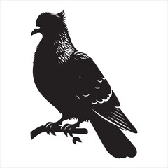 Obraz premium siting pigeon Silhouette Vector Art and Graphic vector black color silhouette , white background 