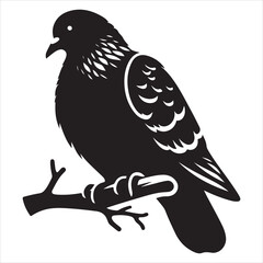 Fototapeta premium siting pigeon Silhouette Vector Art and Graphic vector black color silhouette , white background 
