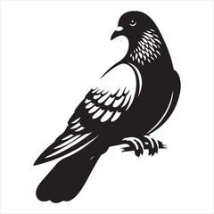 Obraz premium siting pigeon Silhouette Vector Art and Graphic vector black color silhouette , white background 