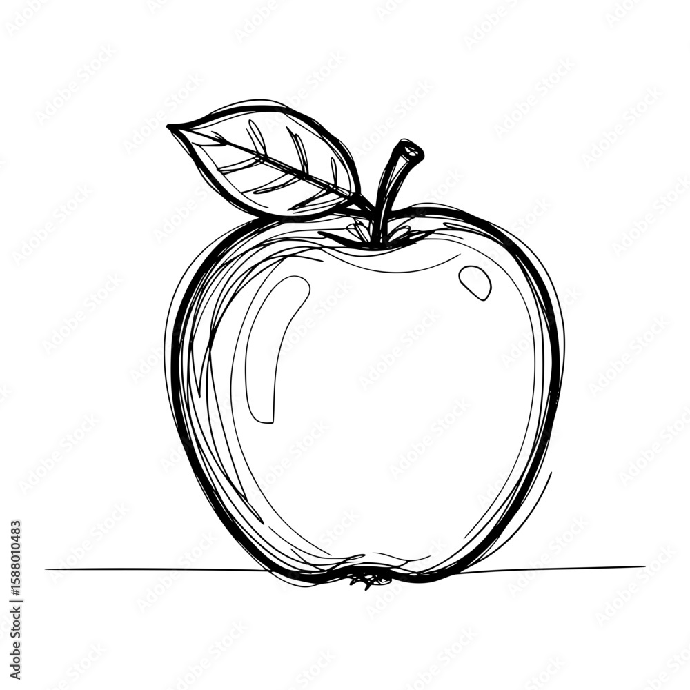 Poster isolated line drawing of an apple with a leaf , vector image on transparent background
