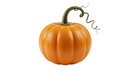 Orange Pumpkin with Curly Vine.