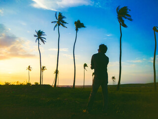 Silhouetted man admires sunset view amidst swaying palm trees in Bengaluru, India.  Dramatic...