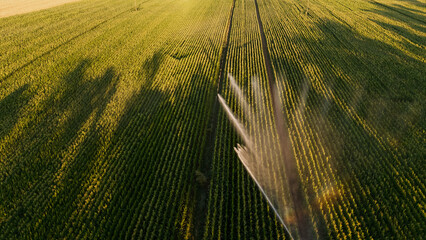 Irrigation et Arrosage champs de Mais