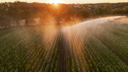 Irrigation et Arrosage champs de Mais