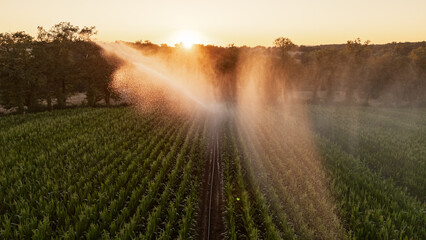 Irrigation et Arrosage champs de Mais