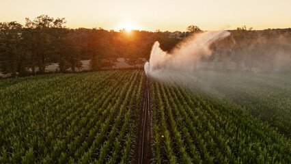 Irrigation et Arrosage champs de Mais