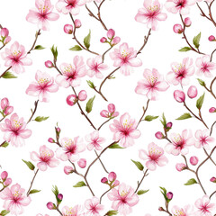 Watercolor style seamless pattern of cherry blossoms, isolated on a white background. PNG