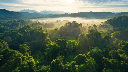 A peaceful nature reserve with clear skies, abundant wildlife, and sustainable land management. .