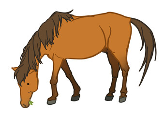 草を食べる与那国馬（目を開けているバージョン）　鹿毛　馬　ポニー