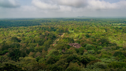 Obraz premium landscape with trees and clouds