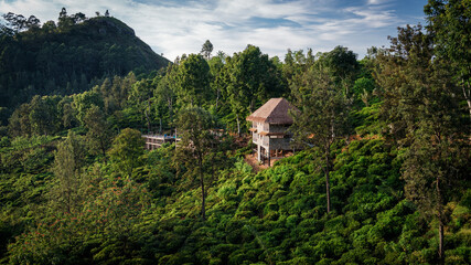 mountain landscape in sri lanka