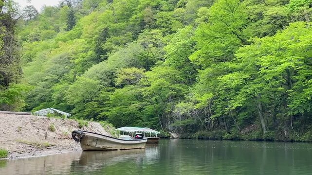 Japan Geibikei Gorge boat trip 岩手猊鼻渓