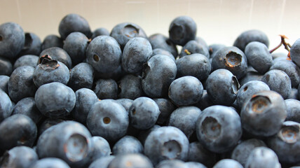 Unwashed bilberry fruits freshly picked from the bushes in a plastic container. Harvest of home grown berries in the garden plot