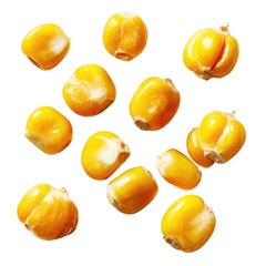 A collection of bright yellow corn kernels scattered randomly on a transparent background isolated on transparent background