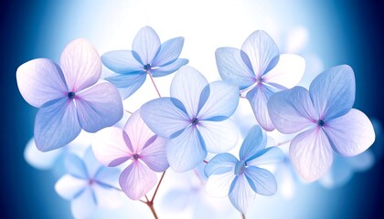 Delicate pastel blue flowers in soft focus
