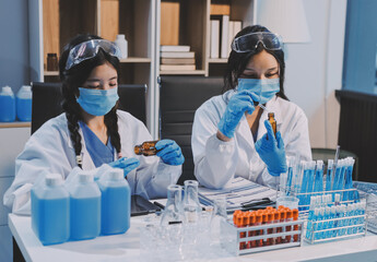 Modern Empty Science Laboratory With Microscopes, Test Tubes And Other Laboratory Equipments