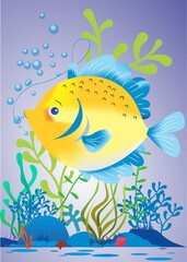 fish on a coral reef in the ocean