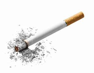 cigarette on white background