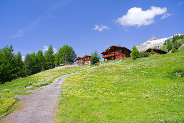 Rural landscape with wooden chalet in the Swiss Alps at Lötschental Valley on a sunny late spring...