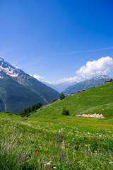 Fototapeta premium Doing hiking with mountain panorama in the Swiss Alps at Lötschental Valley on a sunny late spring day. Photo taken June 19th, Lötschental Wiler, Switzerland.