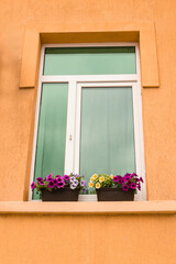 Brown flower pots with multicolored flowers are placed on a windowsill, adding a touch of color and...