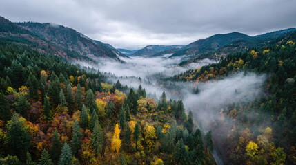 Aerial view of forested mountains with fog and autumn foliage under a cloudy sky day time