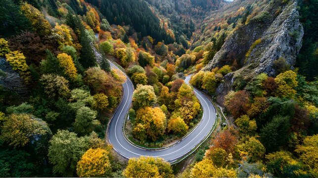 Aerial view of winding mountain road through autumn forest