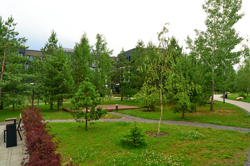 modern urban park with lush greenery and walking paths surrounded by tall buildings offers a serene retreat in the heart of the city, perfect for relaxing strolls and outdoor enjoyment
