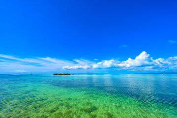  沖縄、竹富島　透明度抜群のコンドイ浜で見る南国の絶景