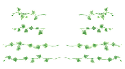 アイビーのイラストセット、ボタニカルナチュラル系。
