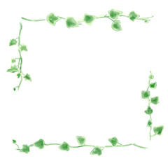 アイビーのイラストセット、ボタニカルナチュラル系。