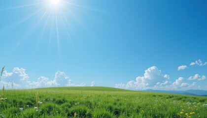 Fototapeta premium Scenic Green Field Under Bright Sunlight