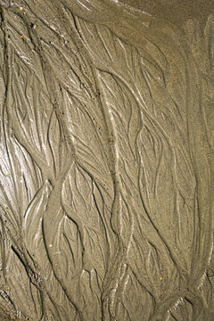 Beach, wet sand and the patterns made by waves or water.  sand pattern