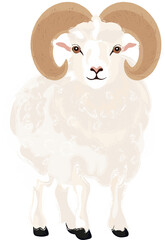 White ram