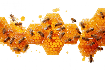 Bees swarm on dripping honeycomb isolated on transparent background