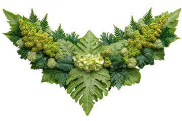 A lush green floral arrangement isolated on transparent background