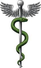 Rod of Asclepius staff medical symbol. Snake around rod or wooden staff. Often mistakenly called Caduceus. Doctor medicine and health care icon. Vintage woodcut etching style. Also features wings.