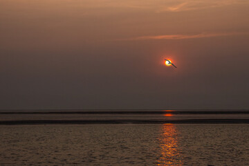 Lone Seagull Flying in Orange Sunset Sky over Calm Water