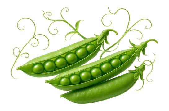 A clear glass jar showcasing layers of cherries preserved in their own juice, highlighting their rich maroon color.